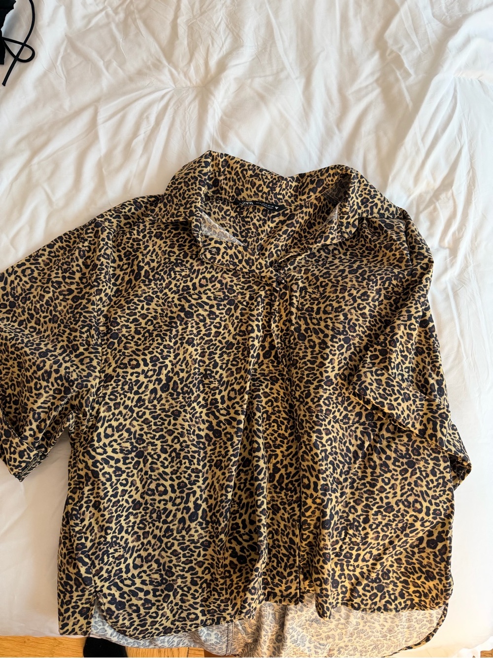 Zara Leopard Print Short Sleeve Button-Up Shirt - Brown/Black